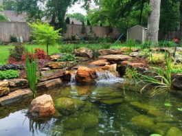 backyard pond