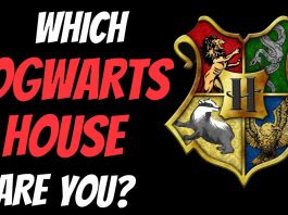 harry potter house quiz