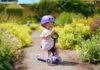 kids friendly garden