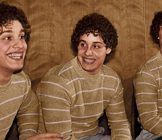 Three Identical Strangers
