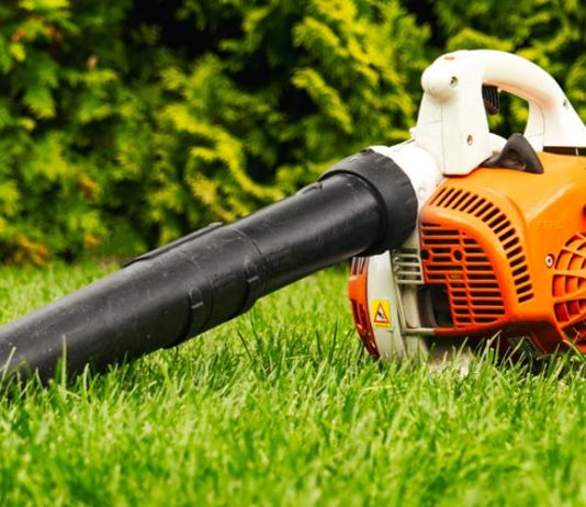 best cheap leaf blower under 200