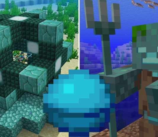 Heart of the sea Minecraft