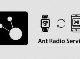 ant radio service