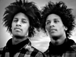Les Twins
