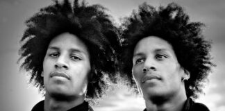 Les Twins