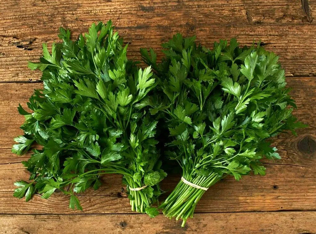 Eat Boiled Parsley