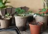 VM Global Impex LLP: Coco Peat, Coir Grow Bags, and Sustainable Growing Media Solutions