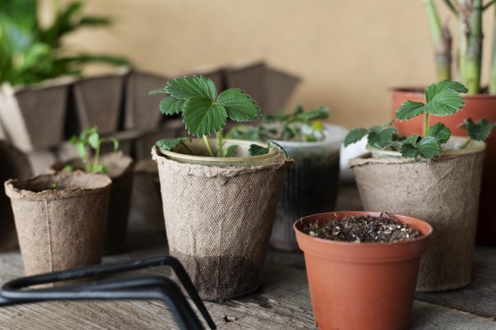 VM Global Impex LLP_ Coco Peat, Coir Grow Bags, and Sustainable Growing Media Solutions
